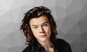 Harry Styles religion political views hobbies net worth